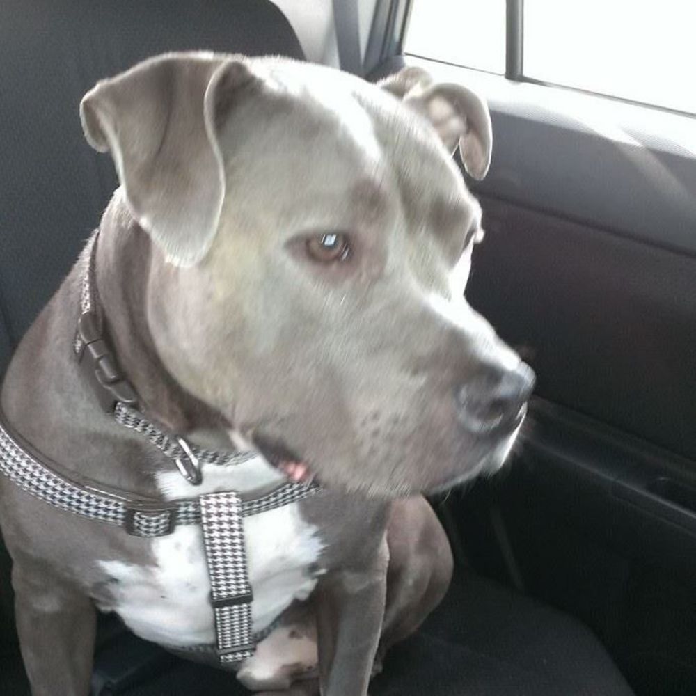 Meet your Posher, Patricia